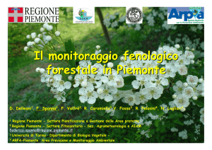 Il monitoraggio fenologico forestale in Piemonte