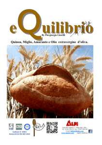 Quinoa, Miglio, Amaranto e Olio extravergine d`oliva.