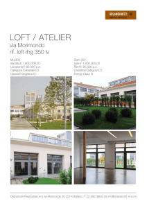 loft / atelier - Orlandinotti Real Estate