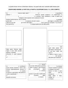 Le piante hanno forme e dimensioni diverse, ma