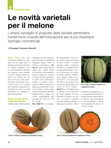 03E_Orticoltura5_Sportelli_Melone