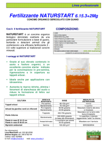Fertilizzante NATURSTART 6.15.3+2Mg