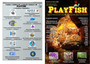 PlayFish Numero 8 Versione pdf per la stampa a libretto