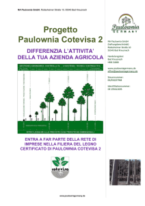 Progetto Paulownia Cotevisa 2