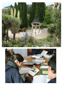 Conoscere le piante - Liceo Statale Aprosio