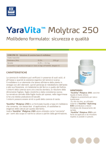 YaraVita™ Molytrac 250