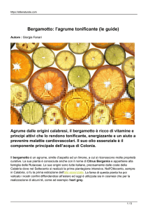 Bergamotto: l`agrume tonificante (le guide)