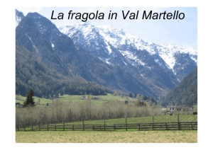 Fragola Alto Adige - Parco dell`Adamello