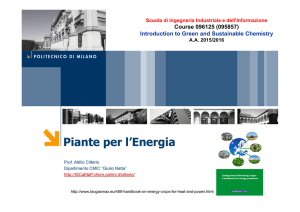 Piante per l`Energia