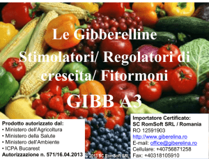 Le Gibberelline Stimolatori/ Regolatori di crescita/ Fitormoni