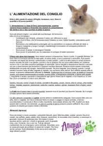 Alimentazione conigli - ANIMALI FELICI di CHIARA SGARBOSSA