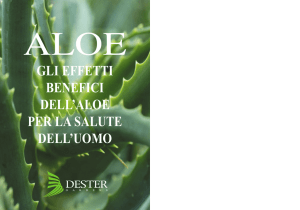 GLI EFFETTI BENEFICI DELL`ALOE PER LA SALUTE DELL`UOMO