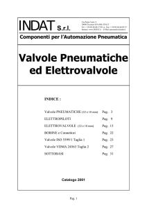 Valvole PNEUMATICHE