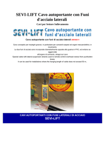 SEVI-LIFT Cavo autoportante con Funi d`acciaio laterali