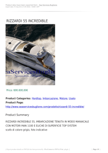 rizzardi 55 incredible - Sea Services Buglione