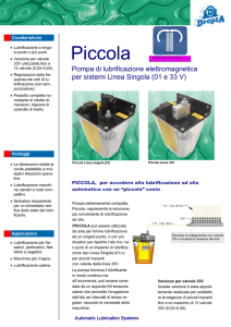 Pompa elettromagnetica modello PICCOLA