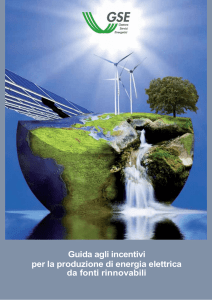Guida agli incentivi per la produzione di energia elettrica da fonti