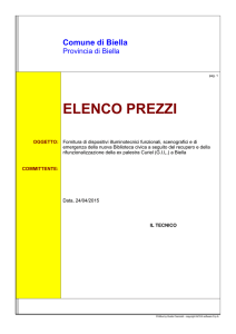 elaborato C elenco prezzi