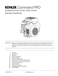 ECH630-ECH749, CH735, CH26, CH745 Manuale