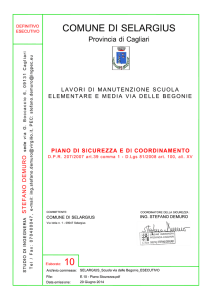 10_pianodisicurezzaecoordinamento(psc)