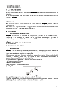 1. RACCOMANDAZIONI Prima di utilizzare il gasatore