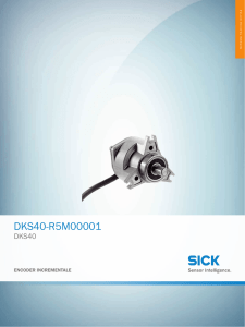 DKS40 DKS40-R5M00001, Scheda tecnica online