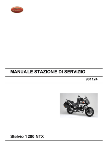 Moto Guzzi Stelvio NTX 10/2009