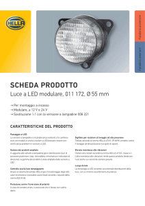 scheda prodotto