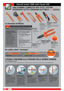 Utensili isolati 1000 volts Facom VSE UNA GAMMA COMPLETA