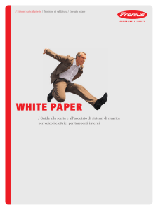 white paper - Fronius International