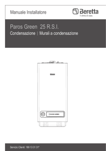 Paros Green 25 RSI