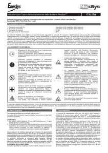 italian - EnerSys