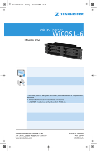 WiCOS L-6