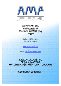 AMP PISANI SRL Via Ungaretti 6/8 27024 CILAVEGNA (PV) ITALY