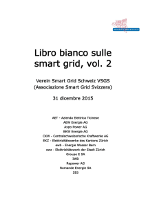 Libro bianco sulle smart grid, vol. 2