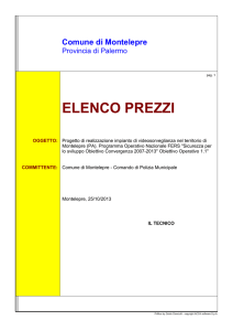 Tav.8.1_Elenco prezzi unitari