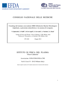 FP12-02 - Istituto di Fisica del Plasma