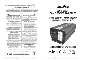 SOFT START DC AC POWER INVERTERS AP12-5000GP