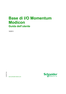 Momentum manuale