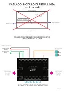 CABLAGGI MODULO DI PIENA LINEA con 2 pannelli