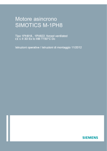 SIMOTICS-M 1PH8 con ventilazione forzata e