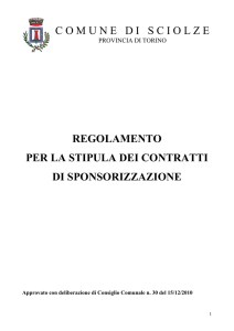 Regolamento sponsorizzazioni 2010