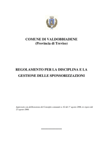 (Provincia di Treviso) REGOLAMENTO PER LA DISCIPLINA E LA