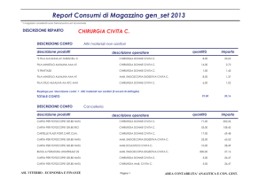 Report Consumi di Magazzino gen_set 2013