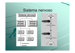 5 Farmaci del sist nerv vegetativo