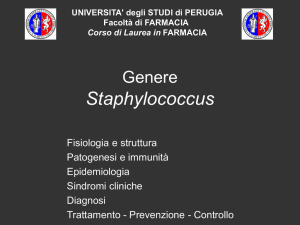 Staphylococcus - WordPress.com
