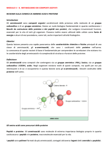 MODULO 5 – IL METABOLISMO DEI COMPOSTI