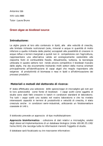 Green algae as biodiesel source - Università degli Studi di Roma