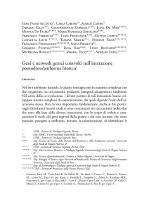 Geni e network genici coinvolti nell`interazione