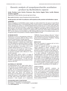 Genetic analysis of exopolysaccharide acetilation product by